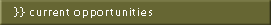 Current Opportunities