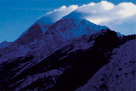 Specialists in Corporate Structure and International Business